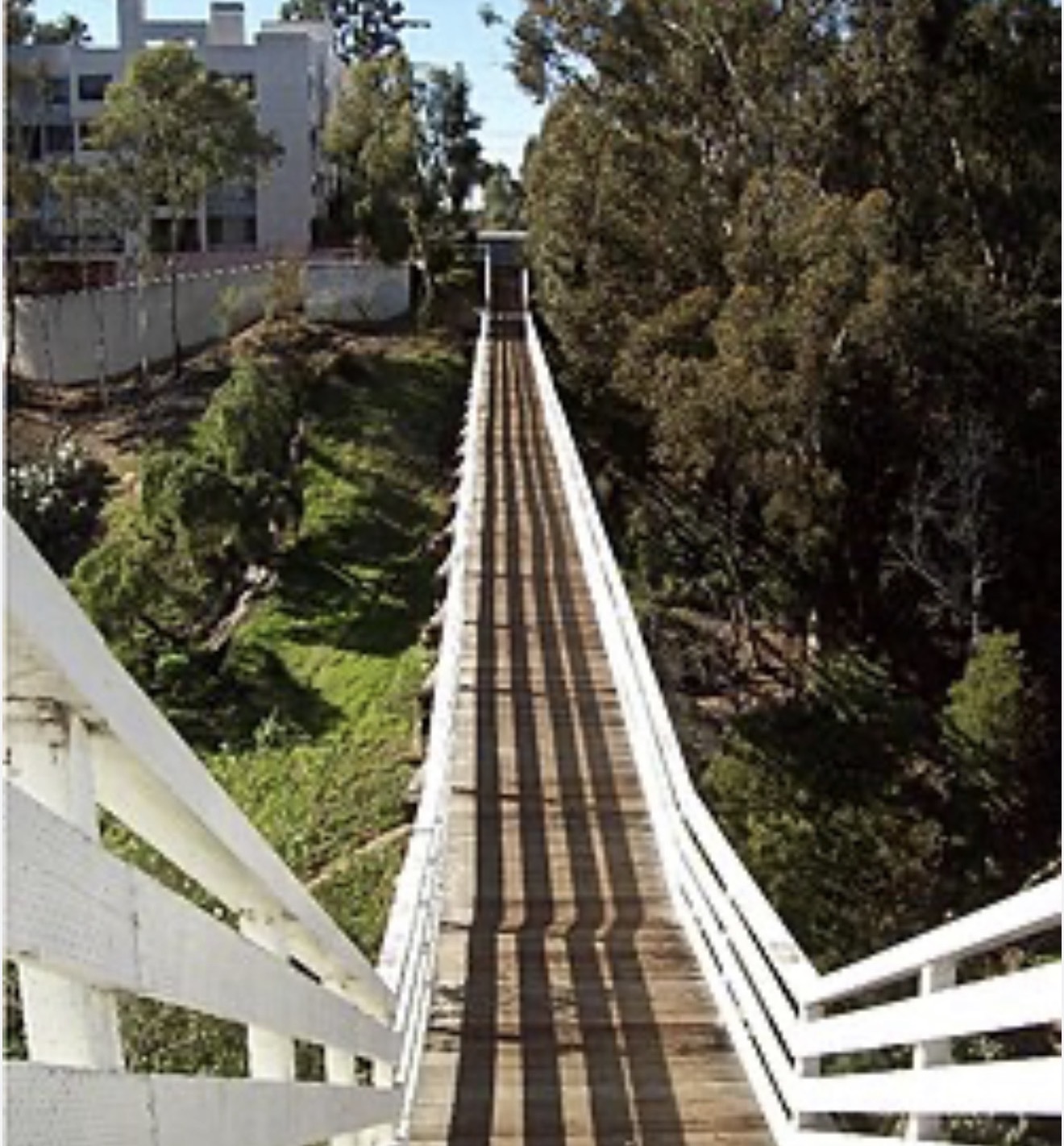 Bankers Hill wooden suspension bridge